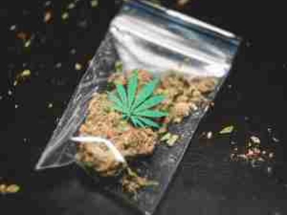 La cannabis legale in Italia